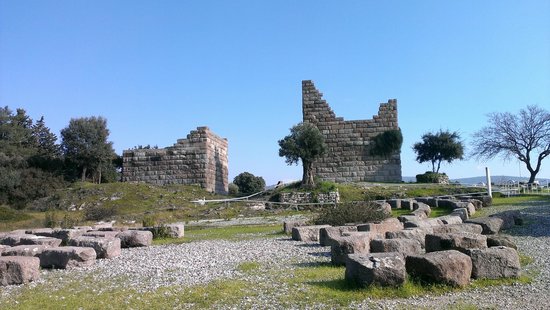 Resim 1