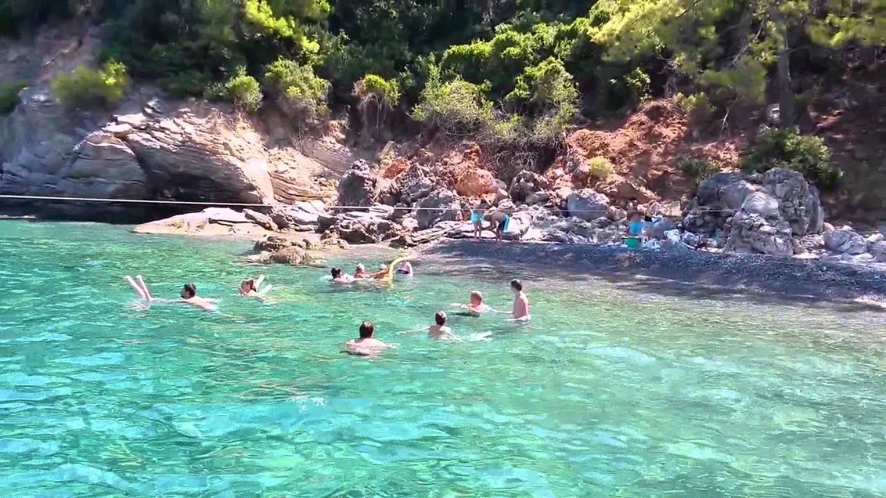 Image 6