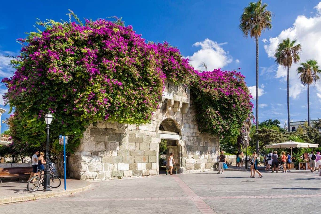 Turgutreis- Kos Feribot Bileti